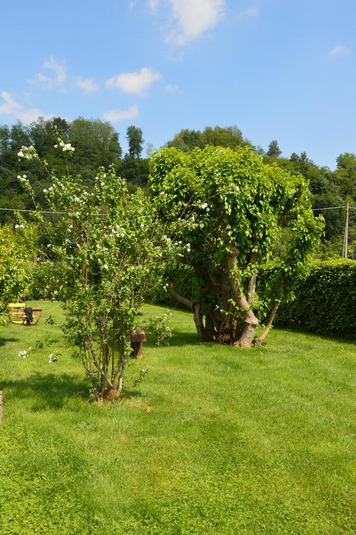 Agriturismo Morgan Montebelluna Εξωτερικό φωτογραφία